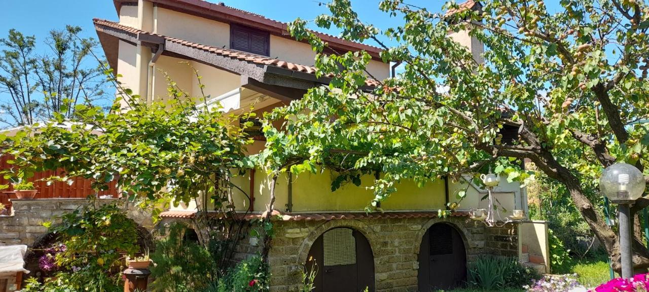 Il Glicine Hotel Сутри Екстериор снимка